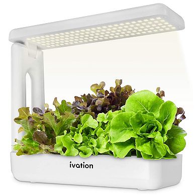 Ivation 12 Replacement Baskets For Ivation - Indoor Growing Kit