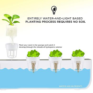 Ivation 12 Replacement Baskets For Ivation - Indoor Growing Kit