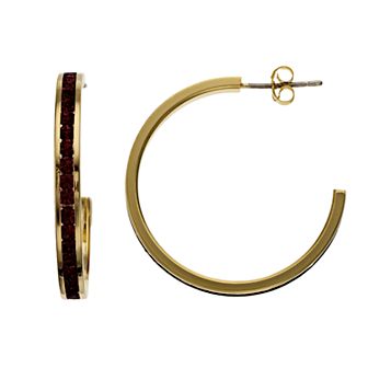 Traditions Jewelry Company 18k Gold Over Silver Crystal Birthstone Hoop Earrings