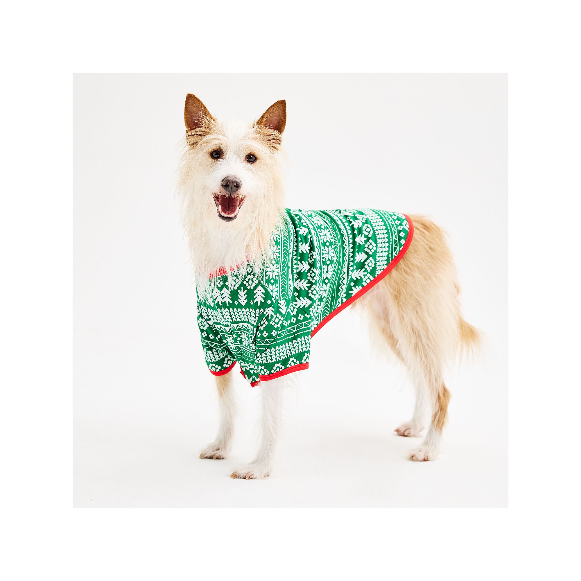 Pet Jammies For Your Families® Bear Pajamas, Size: Small, Green Fairisle