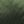 Estate Green Shine