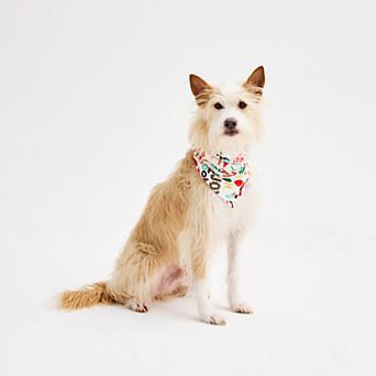 Pet Jammies For Your Families® Fa La La Bandana