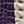 Violet Light Grey