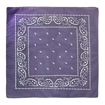 Individually Folded & Packaged Paisley Print Cotton Bandana