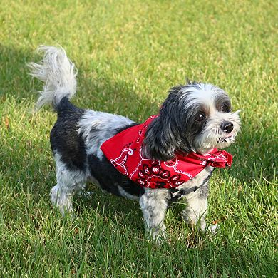 CTM 27 Inch Extra Large Cotton Texas Paisley Bandana