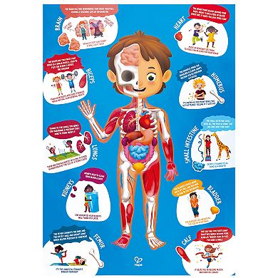 Hape Human Body Educational Anatomy Jigsaw Puzzle