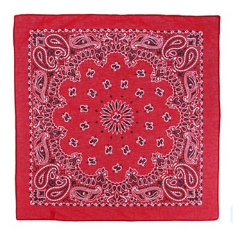 Modern Paisley 20x20 Cotton Bandana 6 Pack