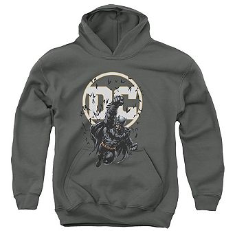 Batman Dc Comics Youth Pull Over Hoodie