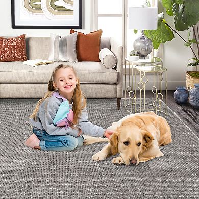 Garvee Solid Modern Area Rug Machine Washable Chenille Carpet Mat for Home Decor