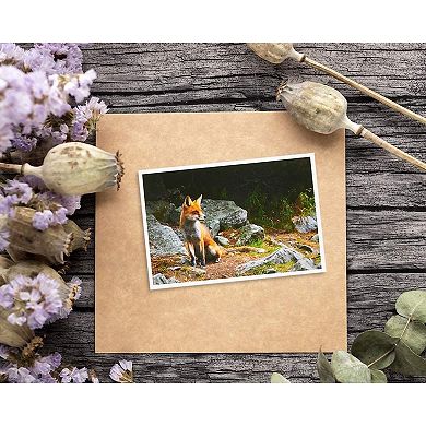 40x Wild Animal Postcards, Tiger, Bear, Giraffe, Elephant, Lion, Zebra, 4x6"