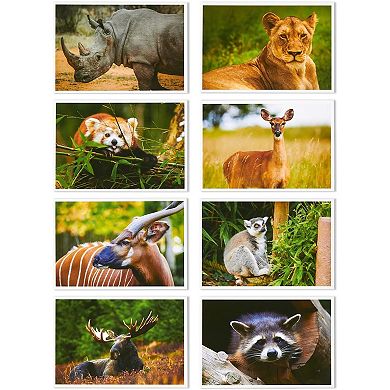 40x Wild Animal Postcards, Tiger, Bear, Giraffe, Elephant, Lion, Zebra, 4x6"
