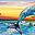 Dolphin Dance