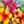 Hawaiian Flowers
