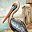 Pelican