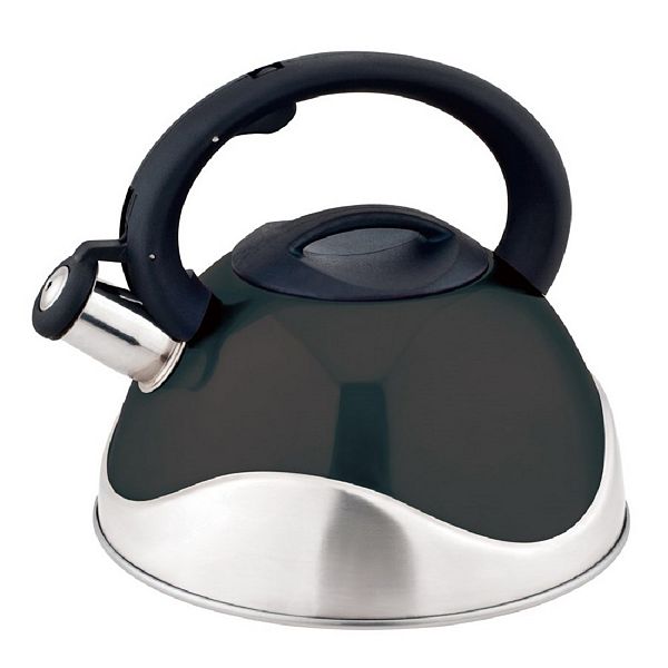 Stainless Steel Whistling Tea Kettle, 3.0 Liter