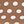 Camel Polka