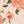 Sand Floral