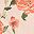 Sand Floral
