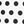 White Polka