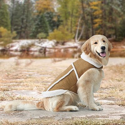 Ugg suede dog coat top