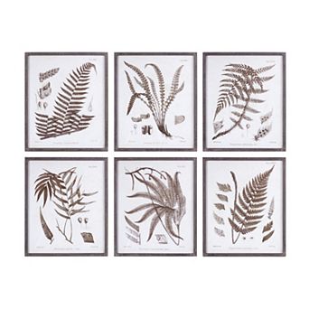 Framed Fern Print (Set Of 6)