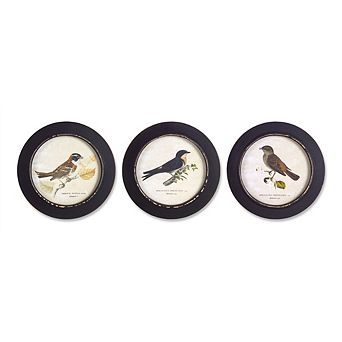 Wood Framed Encyclopedia Bird Print (set Of 3) 9.5"d