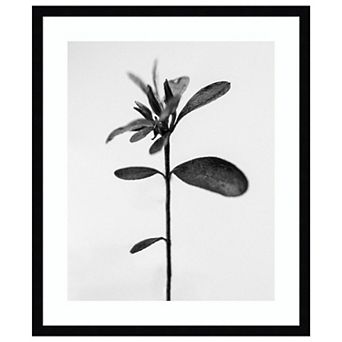 Amid The Flowers 30 By Teis Albers Wood Framed Wall Art Print