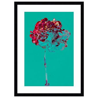 Hydrangea Blossom By Teis Albers Wood Framed Wall Art Print
