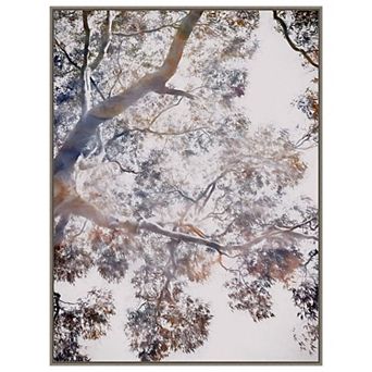 Whispering Jack Ii By Urban Road Framed Canvas Wall Art Print