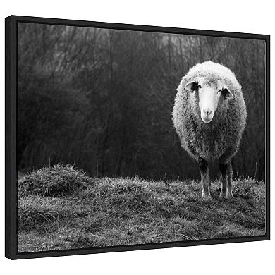 Wondering Sheep By Ajven Framed Canvas Wall Art Print