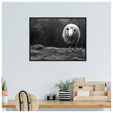 Wondering Sheep By Ajven Framed Canvas Wall Art Print