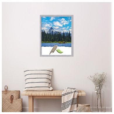 Grace Brushed Nickel Narrow Picture Frame, Photo Frame, Art Frame - Photo Size 22 X 28