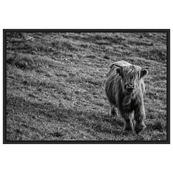 Highland Cow Calf In The Wind By Nathan Larson Framed Canvas Wall Art Print
