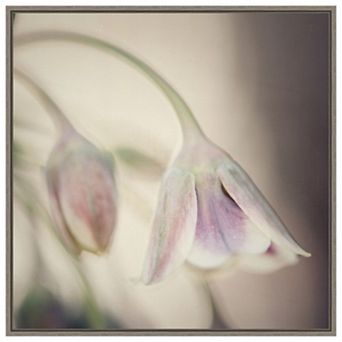 Soft Shades Of Pink Petals By Carla Vermeend Framed Canvas Wall Art Print