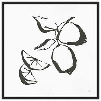 Limes Bw By Chris Paschke Framed Canvas Wall Art Print