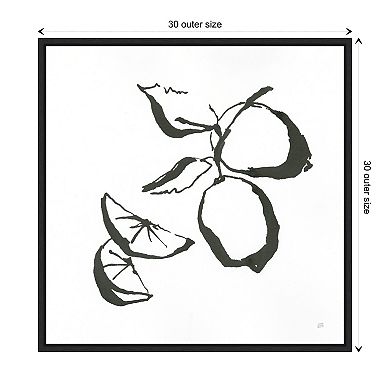 Limes Bw By Chris Paschke Framed Canvas Wall Art Print