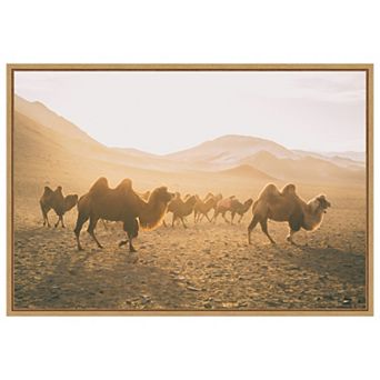 Camels On The Move By Aledanda Framed Canvas Wall Art Print