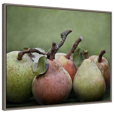 Comice Pears I By Rachel Perry Framed Canvas Wall Art Print