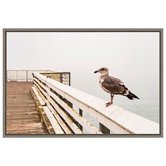 Sea Gull On Wharf By Alison Jones Danita Delimont Framed Canvas Wall Art Print