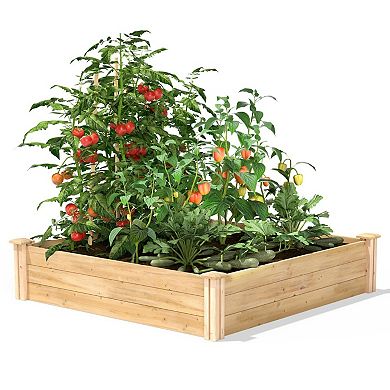 Outdoor Pine Wood Raised Garden Bed Planter Box