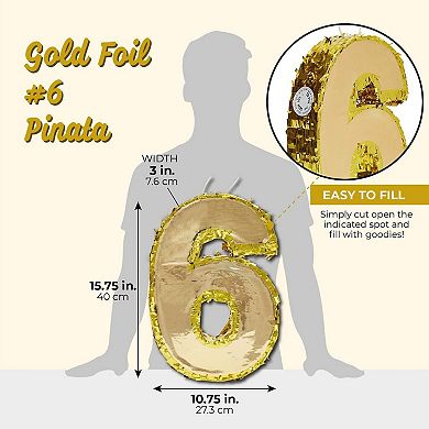 Small Number 6 Pinata, 6th Birthday Decorations For Kids Or Pets Party, 16x11x3"