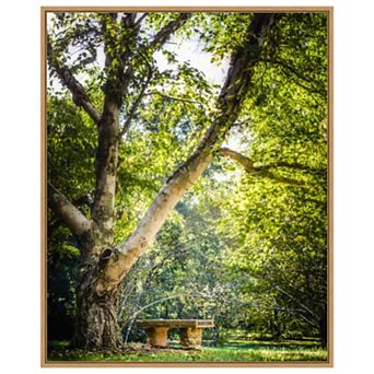 A Place To Ponder (tree) By Matt Marten Framed Canvas Wall Art Print