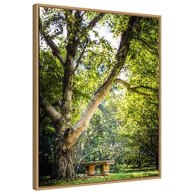 A Place To Ponder (tree) By Matt Marten Framed Canvas Wall Art Print