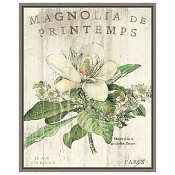 Magnolia De Printemps By Sue Schlabach Framed Canvas Wall Art Print