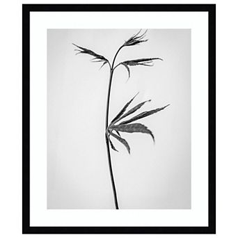 Amid The Flowers 65 By Teis Albers Wood Framed Wall Art Print