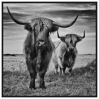 Highland Cow Couple By Stephane Pecqueux Framed Canvas Wall Art Print