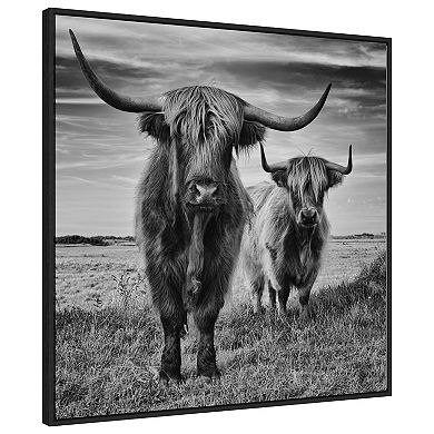 Highland Cow Couple By Stephane Pecqueux Framed Canvas Wall Art Print