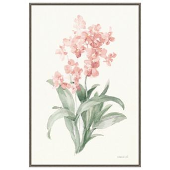 Spring Orchid I By Danhui Nai Framed Canvas Wall Art Print