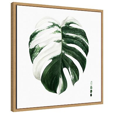 Variegated Monstera Ii By Grace Popp Framed Canvas Wall Art Print