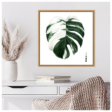 Variegated Monstera Ii By Grace Popp Framed Canvas Wall Art Print